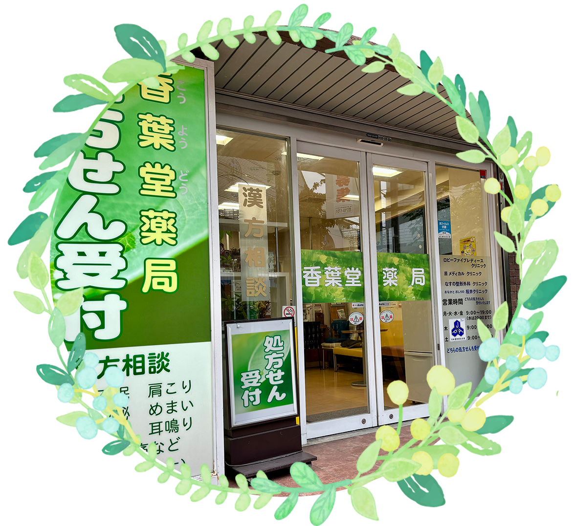 相模原市南区相模大野、相模大野駅、薬局